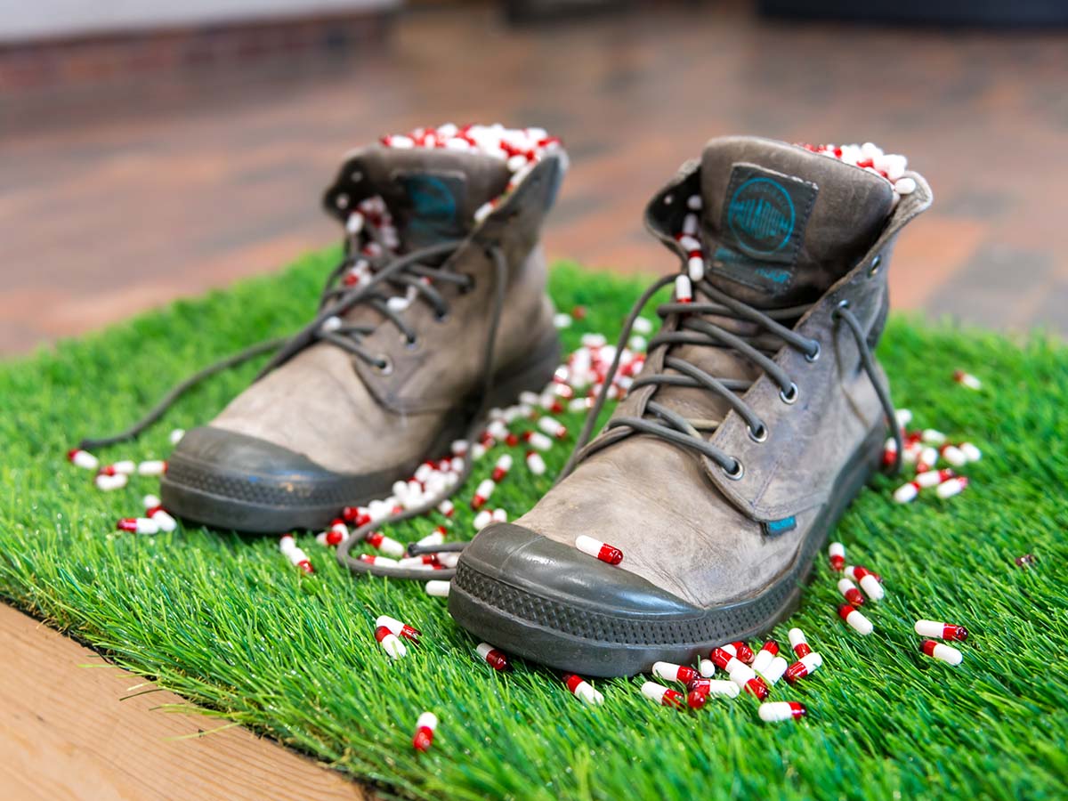 Brianna Harlan: Glass House