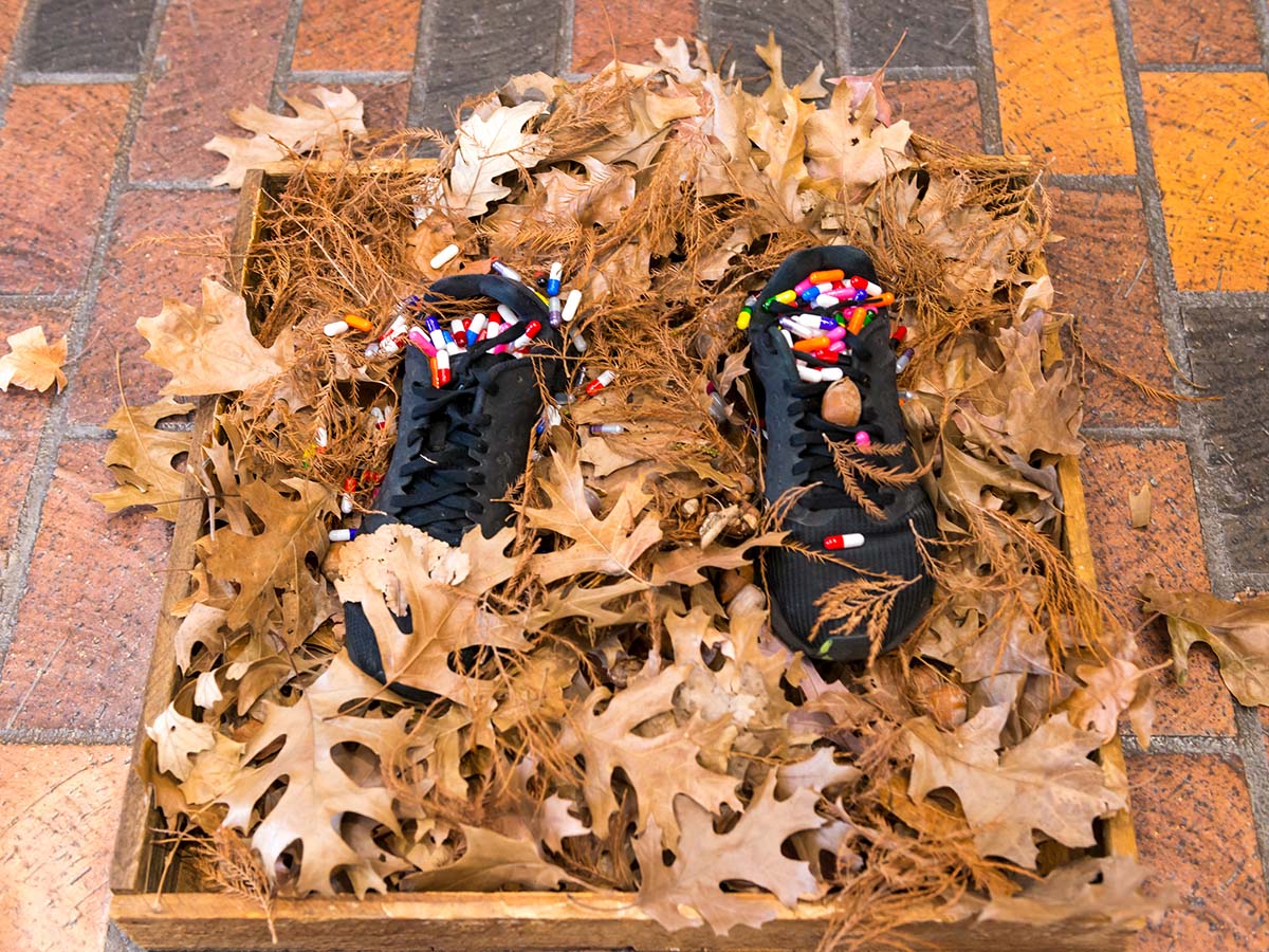 Brianna Harlan: Glass House