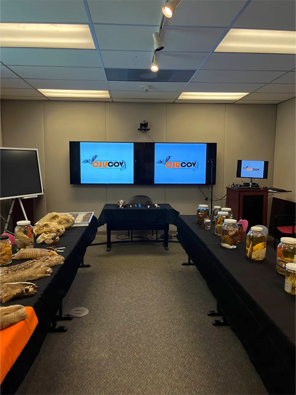 Animal specimens displayed on a table to the left, containers arranged on the right, and two screens mounted on the wall in the center.