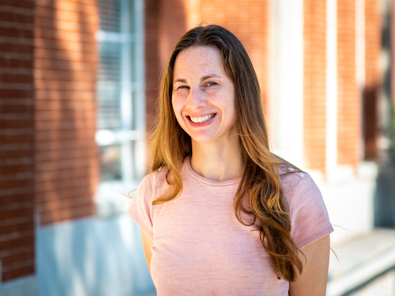 This is alt text for the image