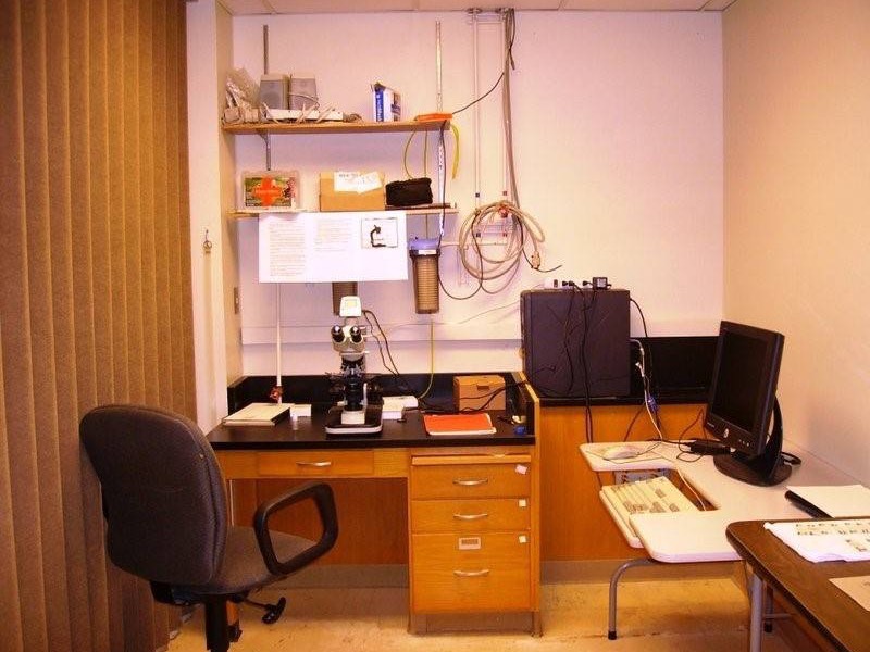 Microscope inside Cordova lab