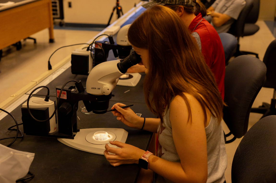 GEO-Rex campers getting to look at samples under a microscope. GEO-Rex campers getting to look at samples under a microscope.