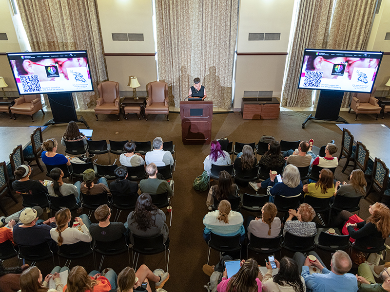 Overhead view of Louise Siddons presenting