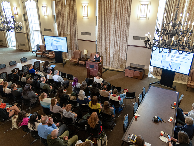 Overhead shot of Louise Siddons presenting