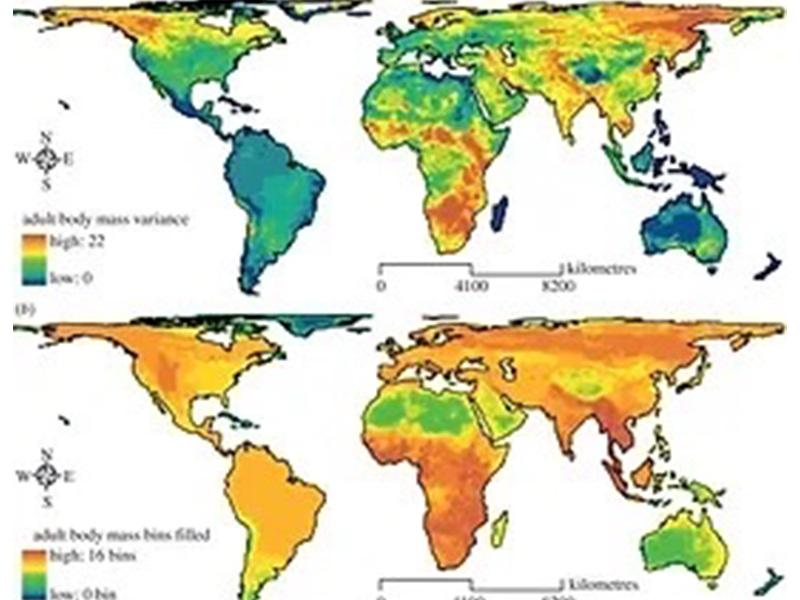 world map