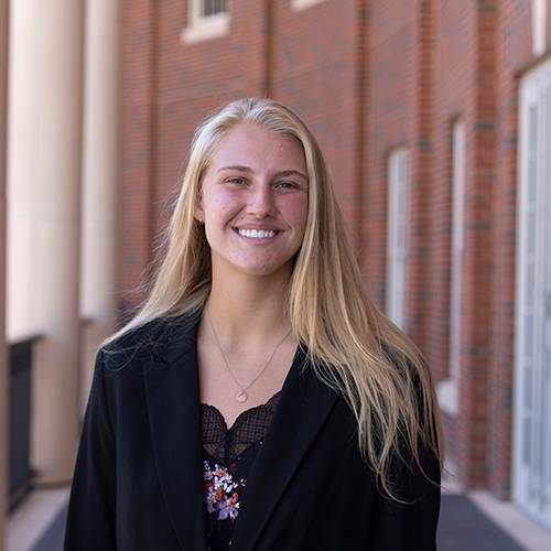 This is alt text for the image