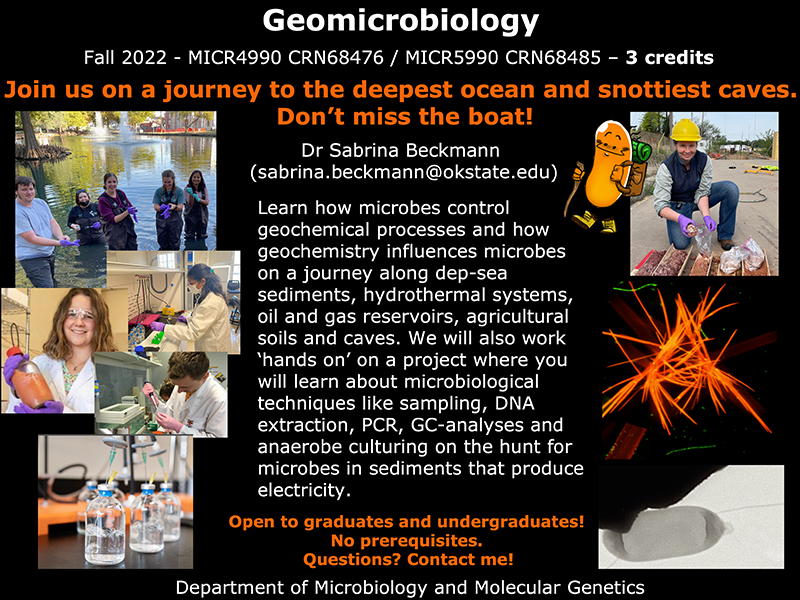 Geomicrobiology flyer