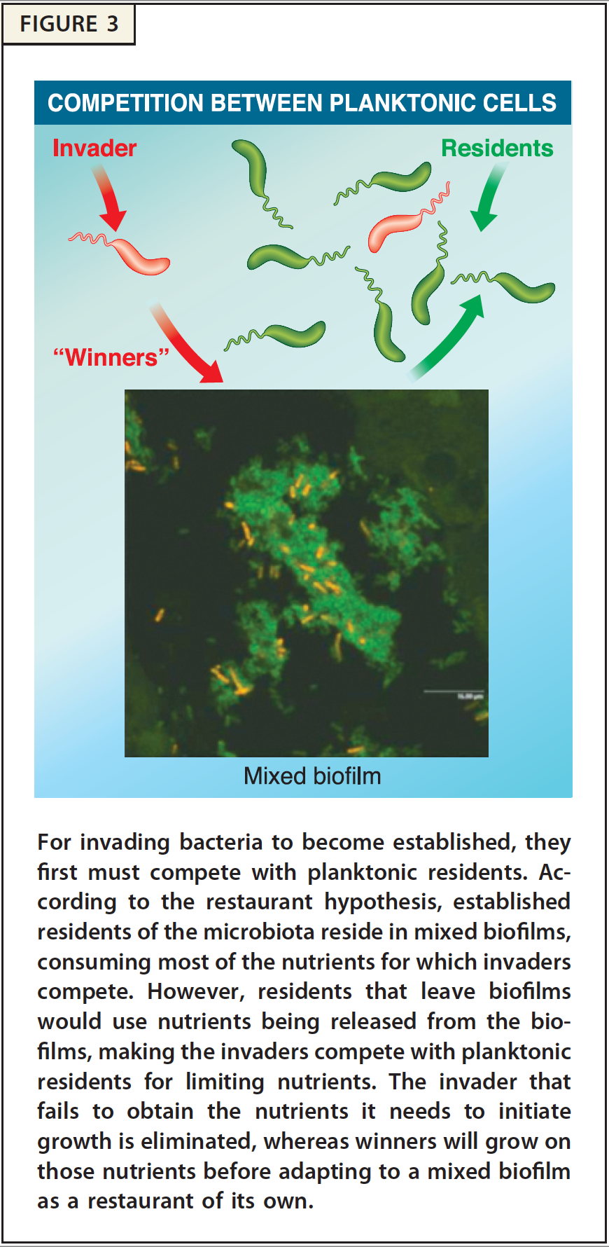 Restaurant Hypothesis