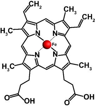 Graphic of Heme acquisition in Mycobacterium tuberculosis Graphic of Heme acquisition in Mycobacterium tuberculosis