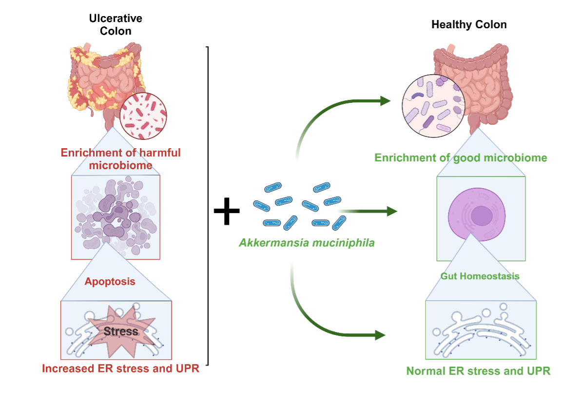 Das, Subhas; Pilot Project Figure 1