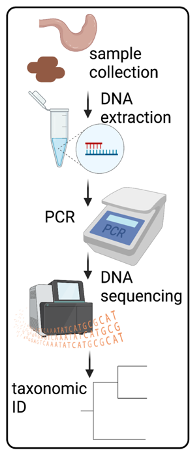 Dr. Liz McCullagh Project Figure Dr. Liz McCullagh Project Figure