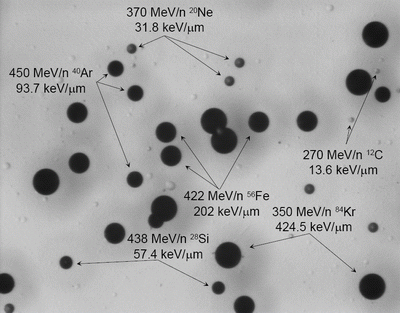 Photomicrograph of primary tracks from a variety of heavy ions in a batch-specific sample of CR-39 PNTD that is used to calibrate the detector.