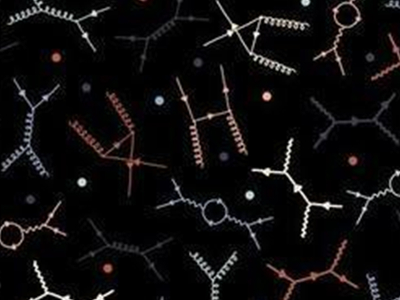 Precision Physics standard model