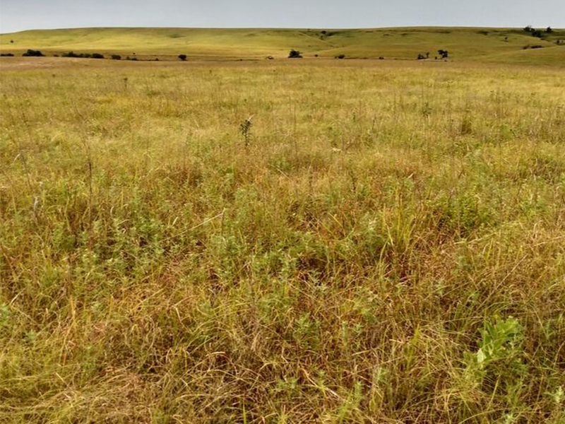 Tallgrass Prairie Preserve