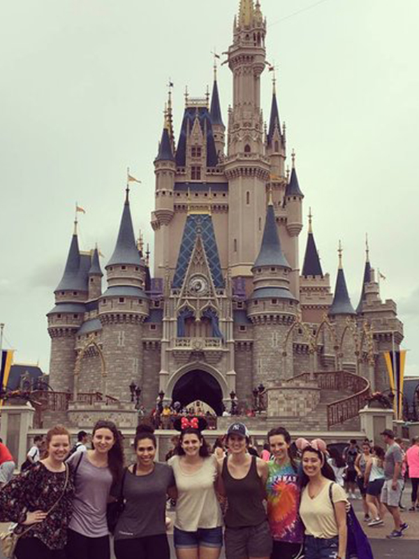 Disney Castle