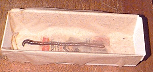 Earthworm in tray on top of wet paper towel.