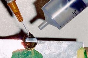 Large syringe administering the C odor.