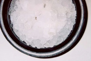 Putting bees to sleep in a bucket of ice