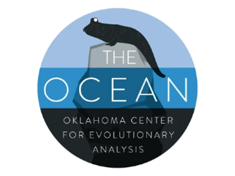 The OCEAN Logo