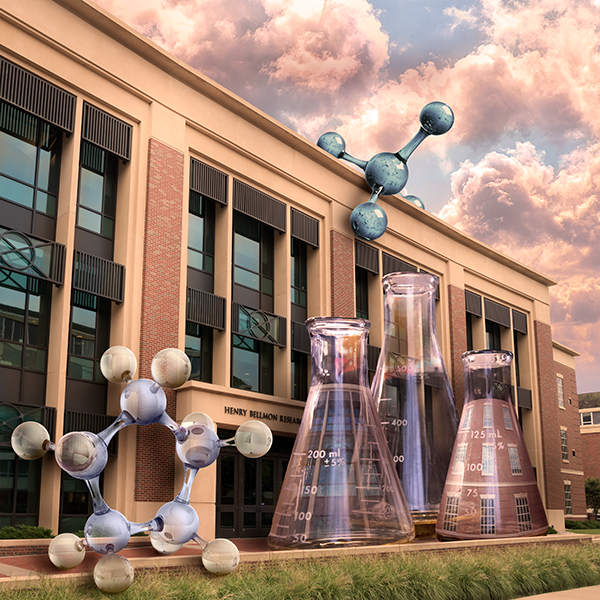 This is alt text for the image