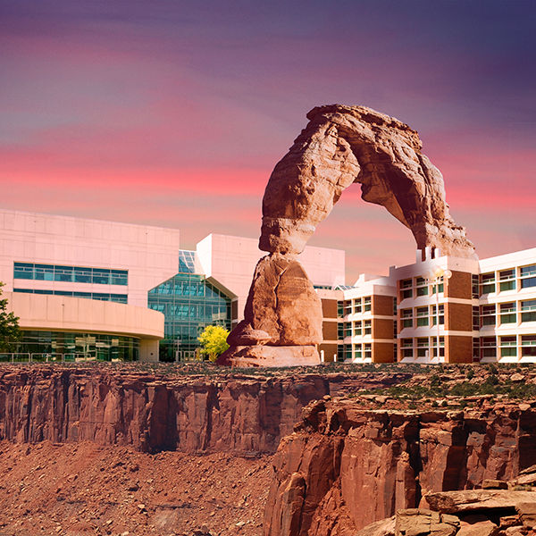 This is alt text for the image