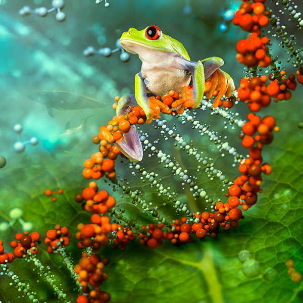 This is alt text for the image