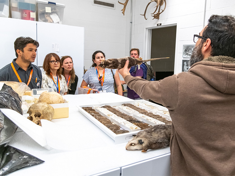 Students in a biology class observing animals.