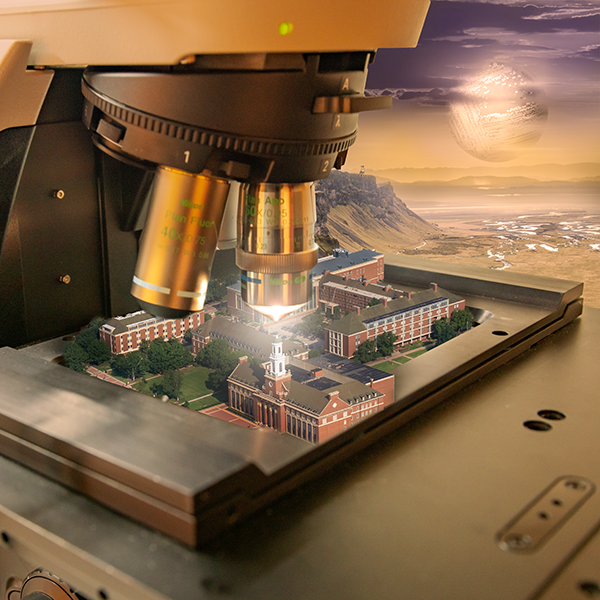 This is alt text for the image