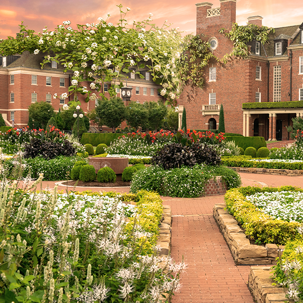 This is alt text for the image