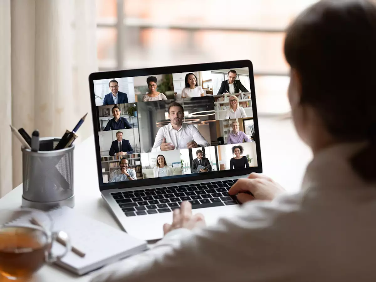 This is alt text for the image