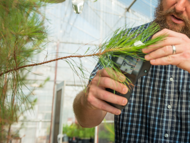 someone working with a plant