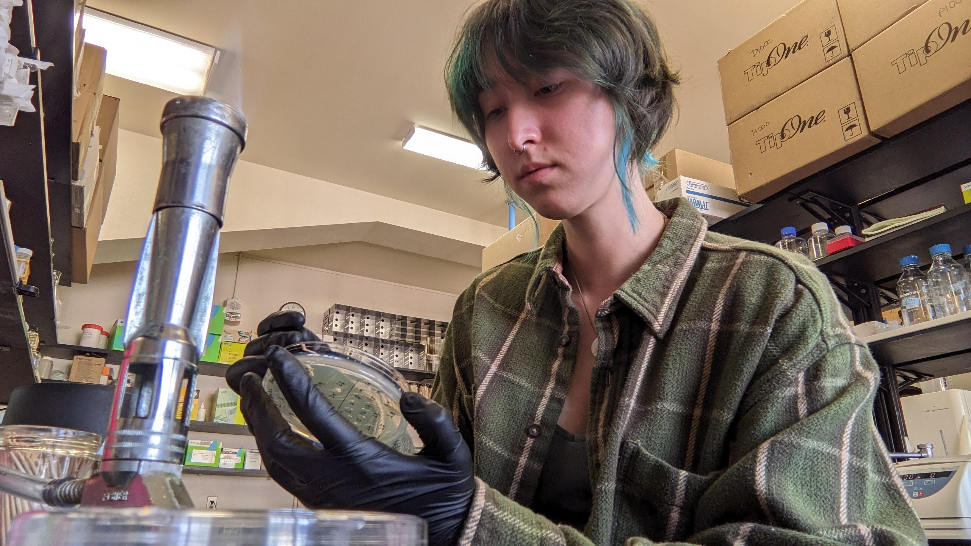 student researching bacteria