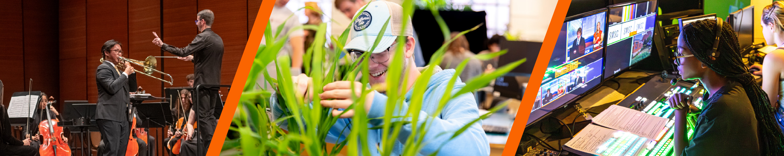 Collage showing three pillars: Music for Arts and Humanities, Biology for Math and Sciences, and SMSC for Social Sciences.