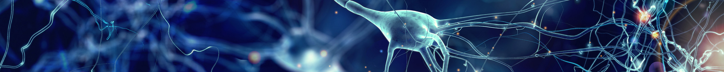 A close-up, digital illustration of a network of interconnected neurons and nerve cells