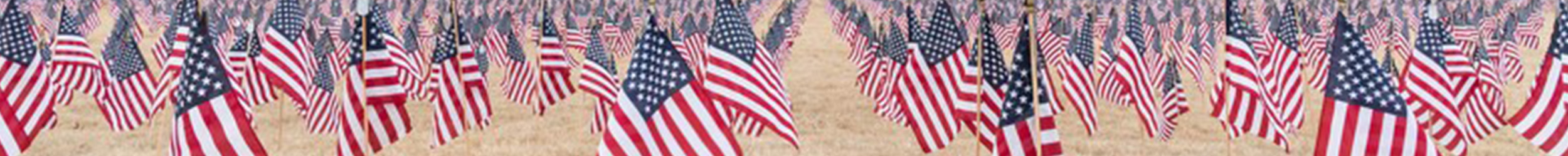 American flags on the ground in front of a campus library.